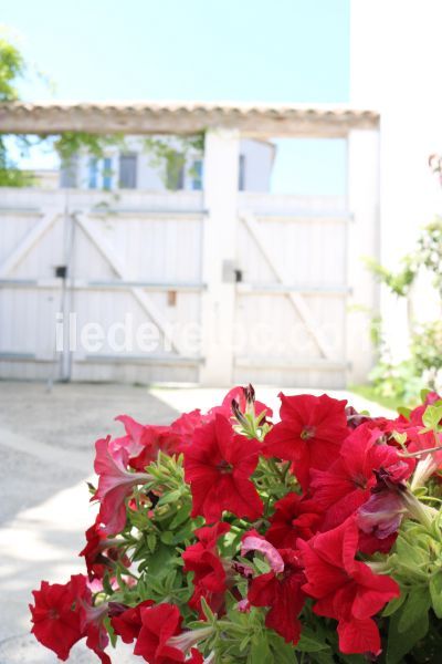 Photo 17 : EXTERIEUR d'une maison située à La Couarde-sur-mer, île de Ré.