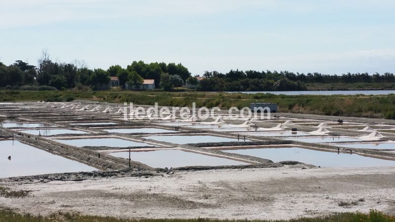 Photo 15 : AUTRE d'une maison située à Le Bois-Plage-en-Ré, île de Ré.