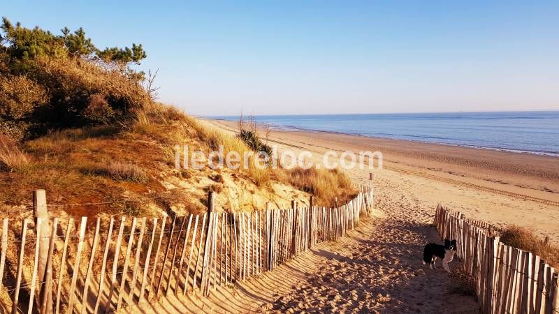 Photo 41 : AUTRE d'une maison située à La Couarde-sur-mer, île de Ré.