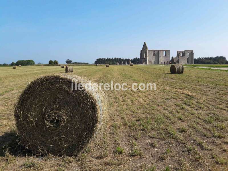 Photo 25 : EXTERIEUR d'une maison située à La Couarde-sur-mer, île de Ré.