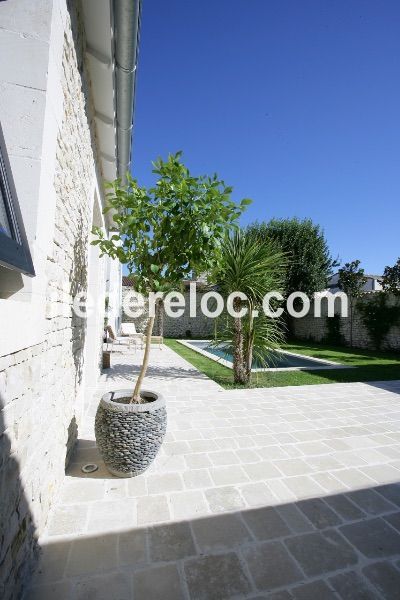 Photo 6 : JARDIN d'une maison située à Saint-Martin-de-Ré, île de Ré.