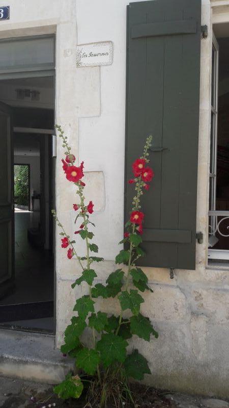 Photo 3 : NC d'une maison située à La Flotte-en-Ré, île de Ré.