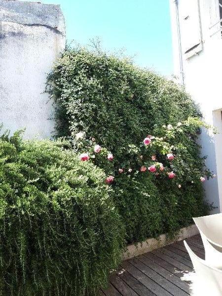 Photo 20 : PATIO d'une maison située à La Flotte-en-Ré, île de Ré.