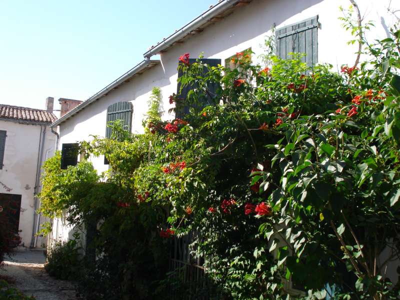 Photo 14 : EXTERIEUR d'une maison située à Saint-Martin-de-Ré, île de Ré.