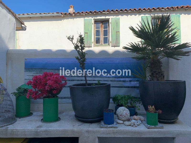 Photo 23 : PATIO d'une maison située à Saint-Clément-des-Baleines, île de Ré.