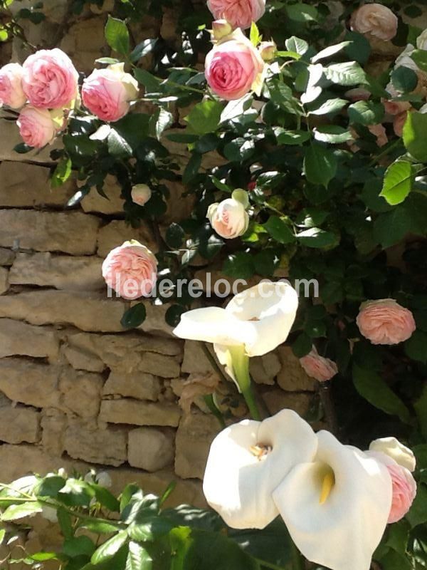 Photo 22 : NC d'une maison située à Ars en Ré, île de Ré.