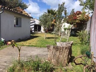 Photo 4 : JARDIN d'une maison située à Rivedoux, île de Ré.