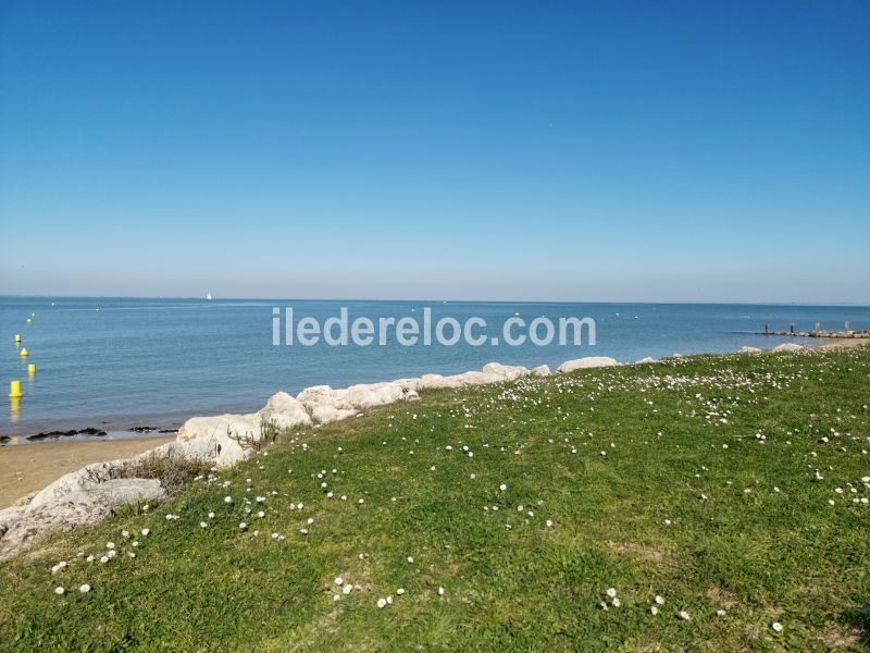 Photo 33 : NC d'une maison située à Saint-Martin-de-Ré, île de Ré.