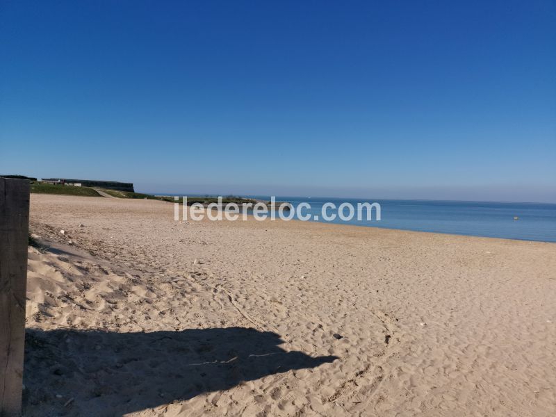 Photo 35 : NC d'une maison située à Saint-Martin-de-Ré, île de Ré.