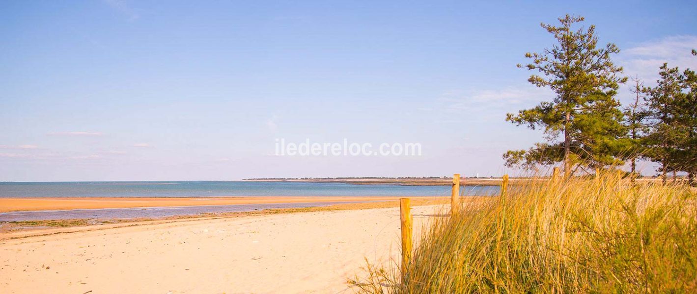 Photo 16 : EXTERIEUR d'une maison située à Sainte-Marie, île de Ré.