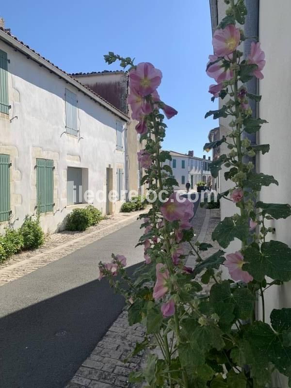 Photo 2 : EXTERIEUR d'une maison située à La Couarde, île de Ré.