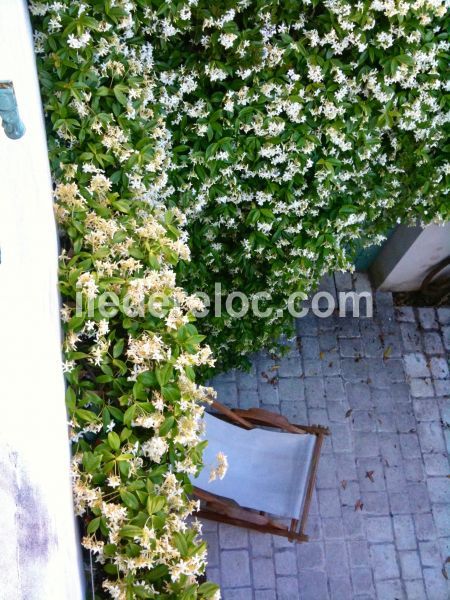 Photo 18 : SEJOUR d'une maison située à Ars en Ré, île de Ré.