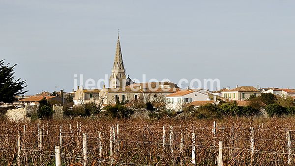Photo 51 : NC d'une maison située à Sainte-Marie-de-Ré, île de Ré.