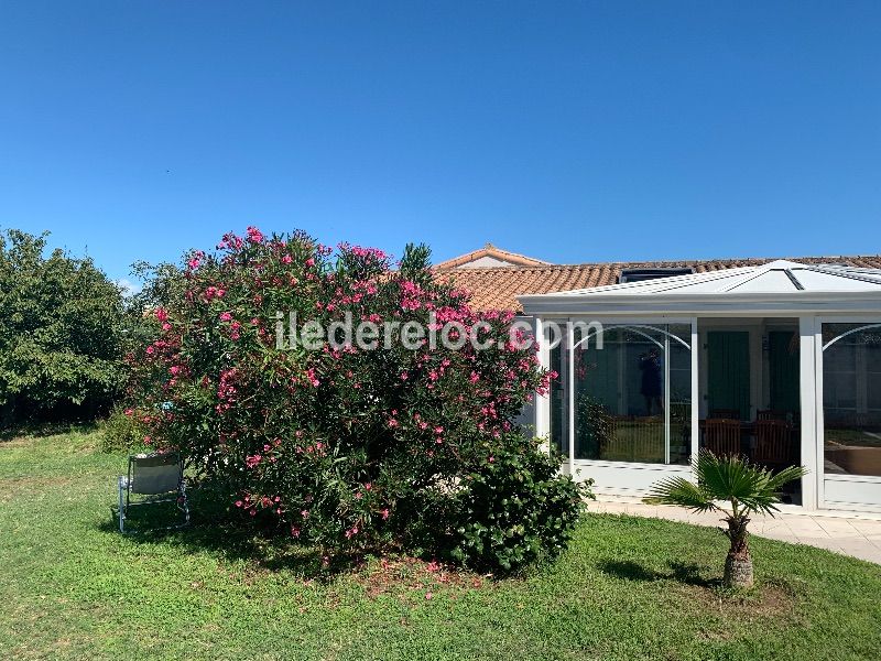 Photo 19 : NC d'une maison située à Loix, île de Ré.