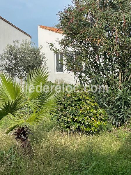 Photo 18 : NC d'une maison située à Loix, île de Ré.