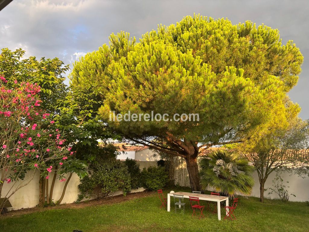 Photo 7 : NC d'une maison situ&eacute;e &agrave; Le Bois-Plage-en-R&eacute;, &icirc;le de R&eacute;.