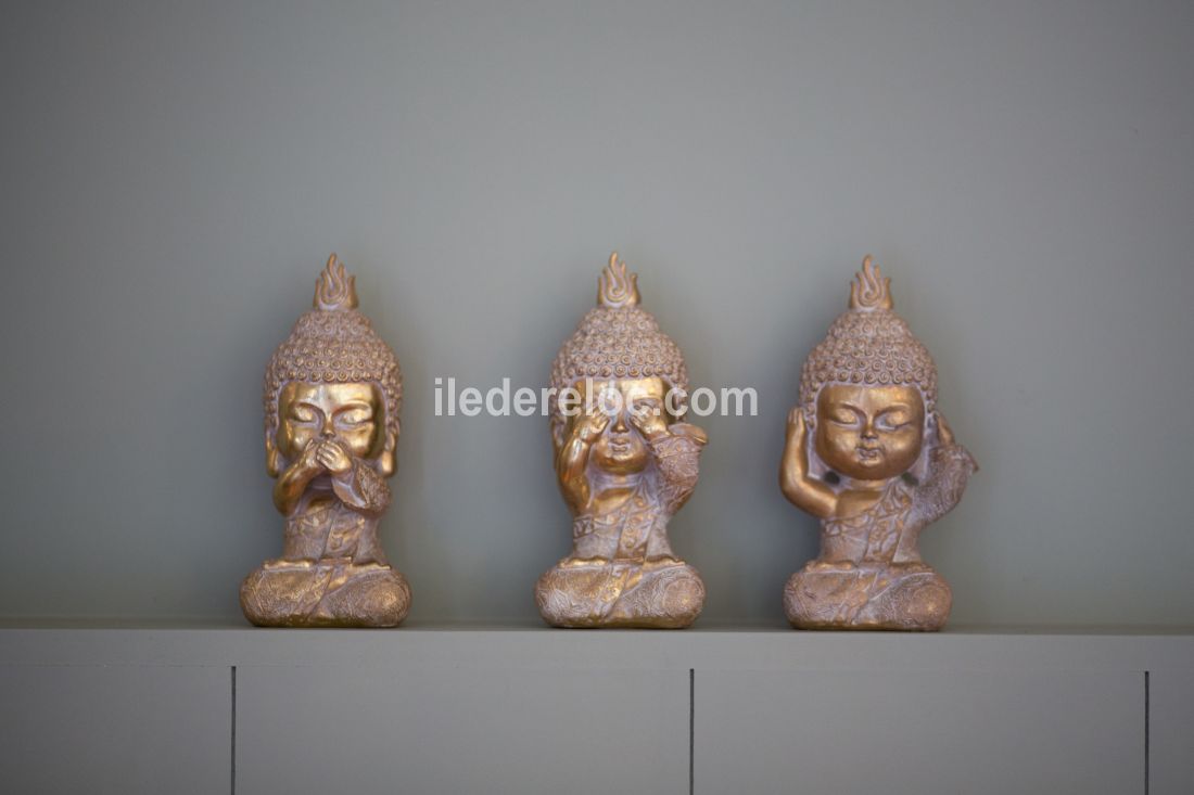 Photo 35 : NC d'une maison situ&eacute;e &agrave; Le Bois-Plage-en-R&eacute;, &icirc;le de R&eacute;.