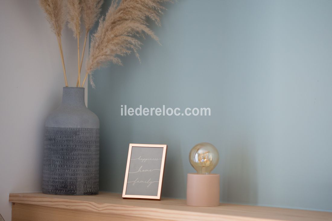 Photo 50 : NC d'une maison situ&eacute;e &agrave; Le Bois-Plage-en-R&eacute;, &icirc;le de R&eacute;.