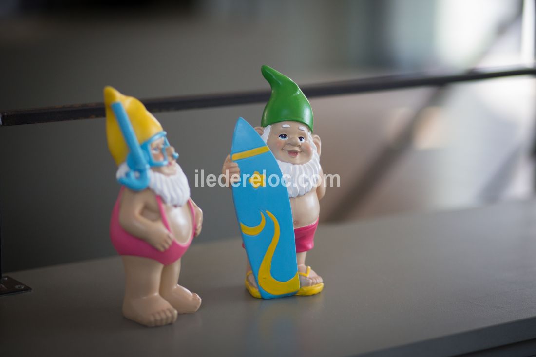 Photo 56 : NC d'une maison situ&eacute;e &agrave; Le Bois-Plage-en-R&eacute;, &icirc;le de R&eacute;.