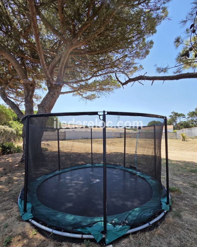 Photo 35 : JARDIN d'une maison situ&eacute;e &agrave; La Couarde-sur-mer, &icirc;le de R&eacute;.