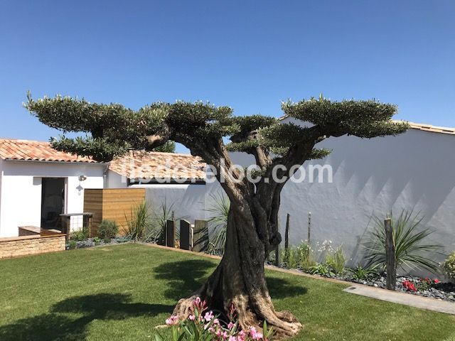 Photo 18 : EXTERIEUR d'une maison située à Le Bois-Plage-en-Ré, île de Ré.