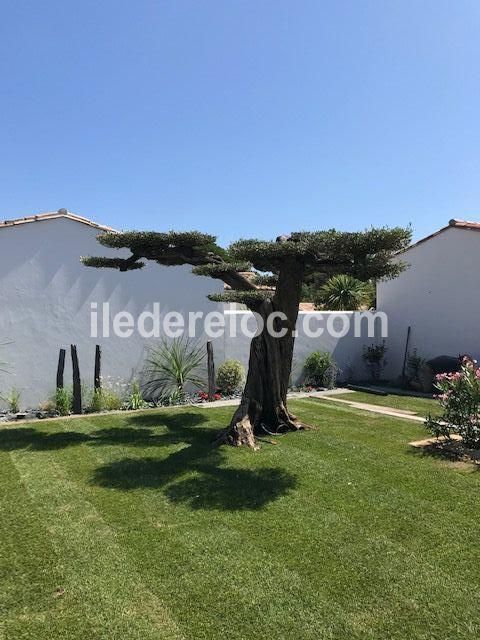 Photo 19 : EXTERIEUR d'une maison située à Le Bois-Plage-en-Ré, île de Ré.