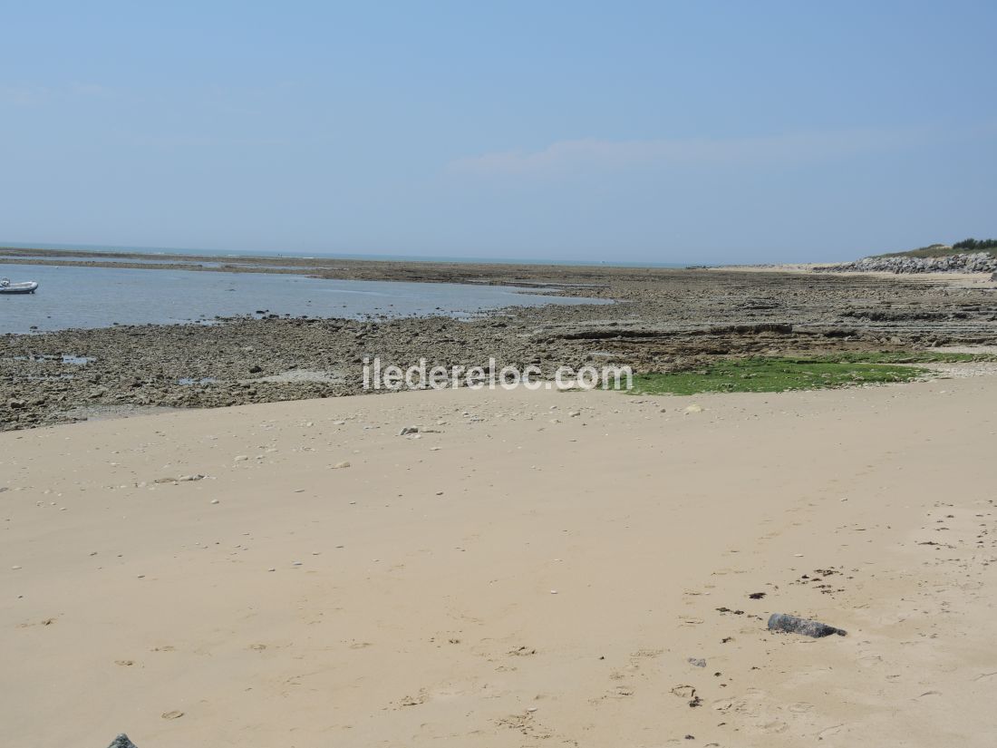 Photo 22 : NC d'une maison situ&eacute;e &agrave; Ars en R&eacute;, &icirc;le de R&eacute;.