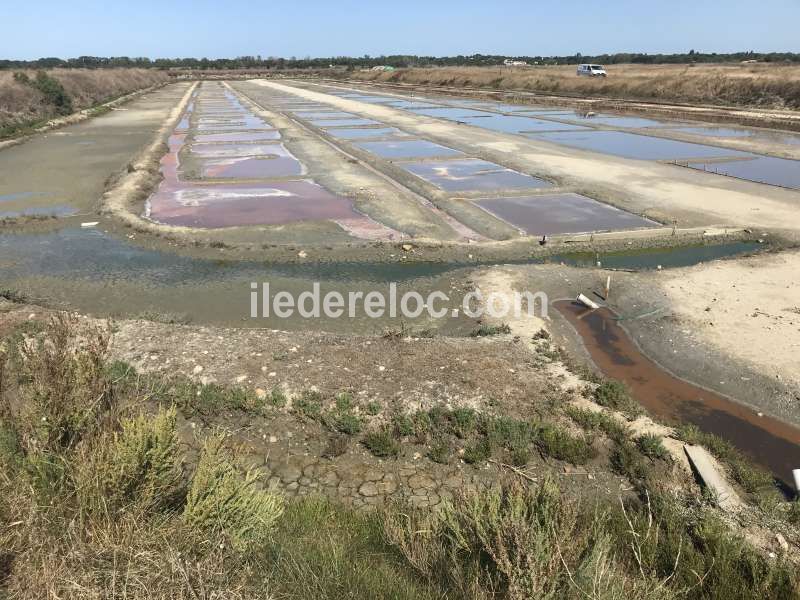 Photo 32 : NC d'une maison située à Ars en Ré, île de Ré.