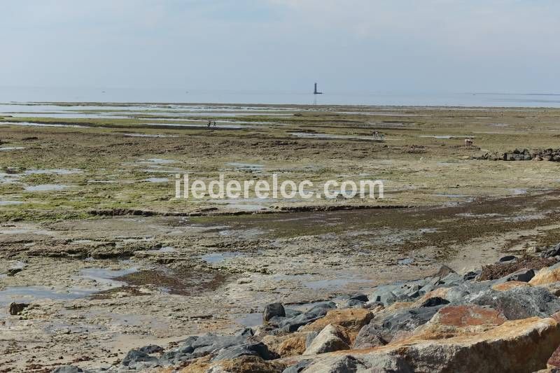 Photo 33 : NC d'une maison située à Ars en Ré, île de Ré.