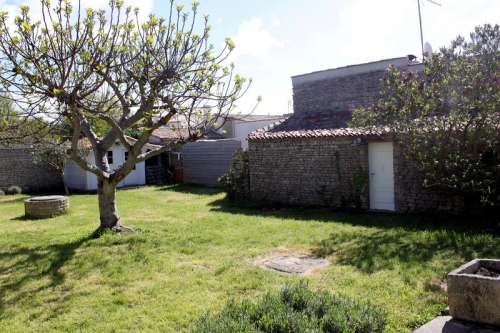 Photo 20 : JARDIN d'une maison située à Saint-Clément-des-Baleines, île de Ré.