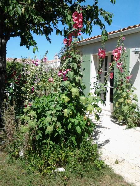 Photo 10 : NC d'une maison située à La Flotte-en-Ré, île de Ré.