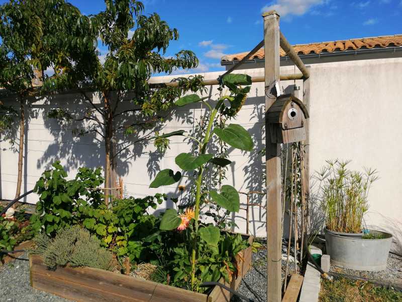 Photo 6 : NC d'une maison située à Loix, île de Ré.