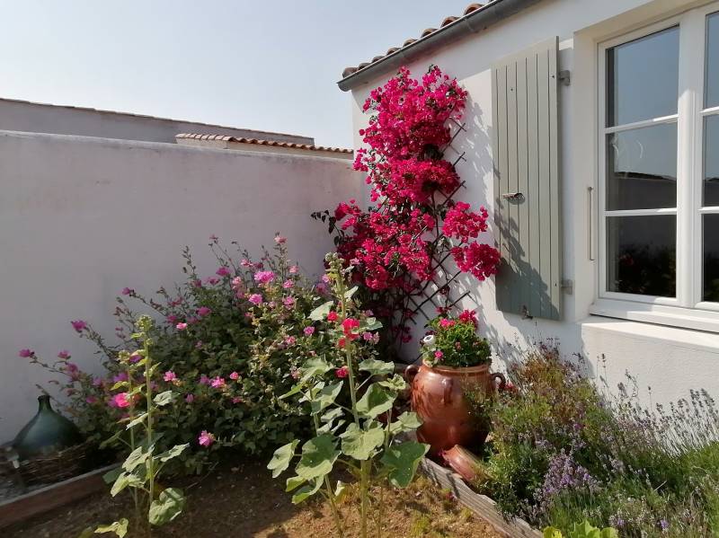 Photo 4 : JARDIN d'une maison située à Loix, île de Ré.