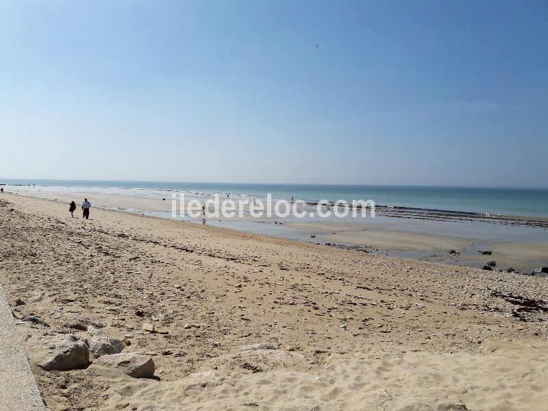 Photo 61 : NC d'une maison située à La Couarde-sur-mer, île de Ré.