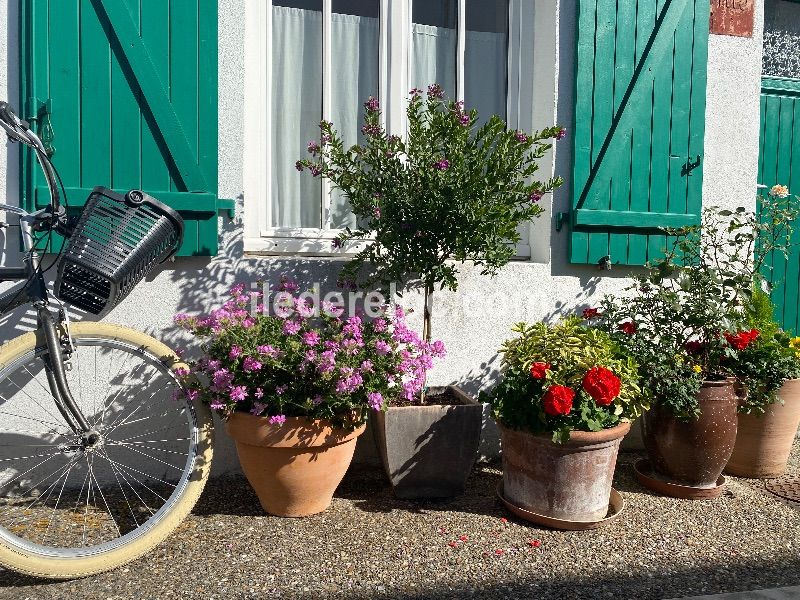 Photo 50 : NC d'une maison située à La Couarde-sur-mer, île de Ré.