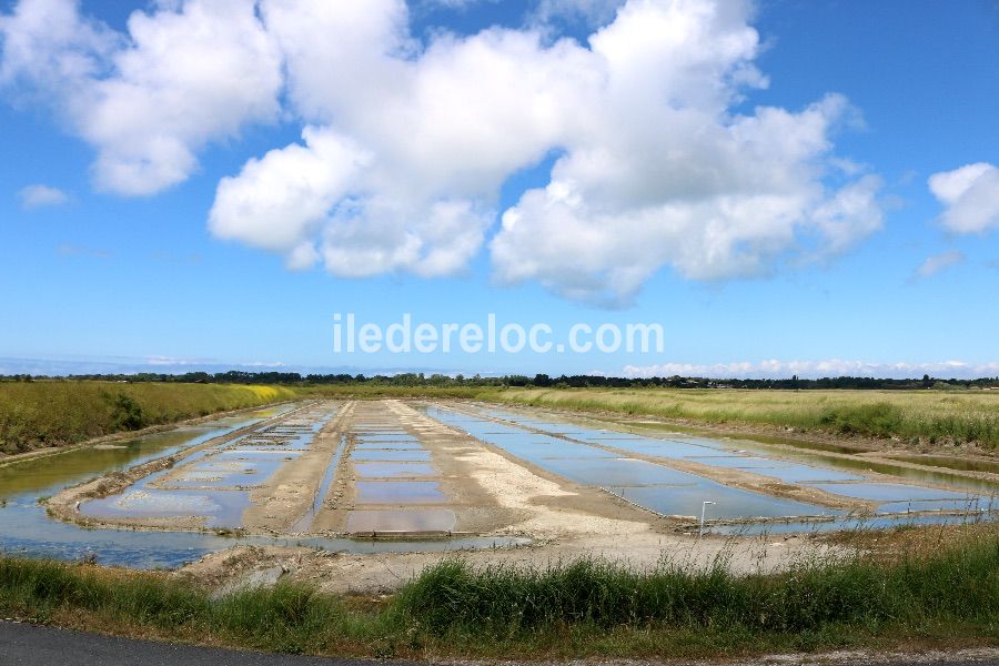 Photo 54 : NC d'une maison située à La Couarde-sur-mer, île de Ré.