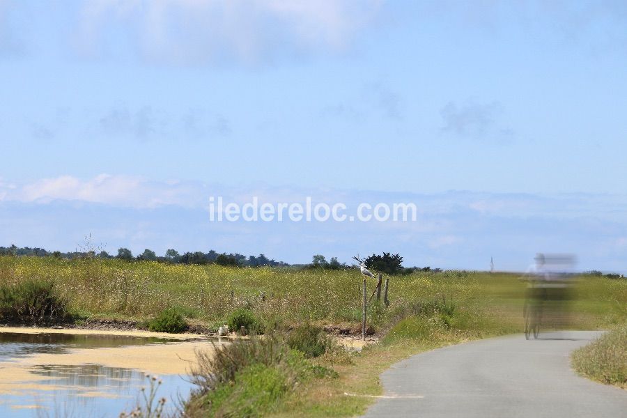 Photo 68 : NC d'une maison située à La Couarde-sur-mer, île de Ré.