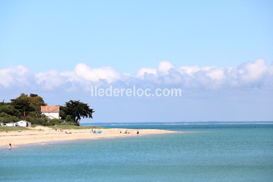 Photo 56 : NC d'une maison située à La Couarde-sur-mer, île de Ré.