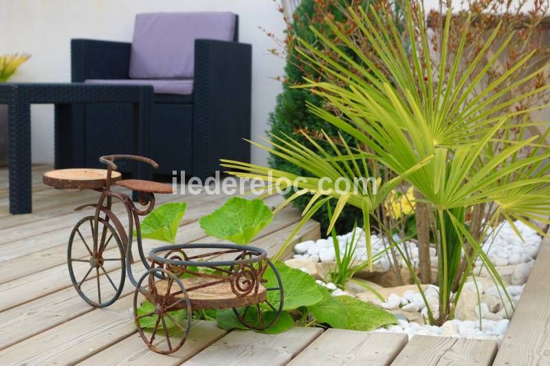 Photo 40 : PATIO d'une maison située à La Couarde-sur-mer, île de Ré.