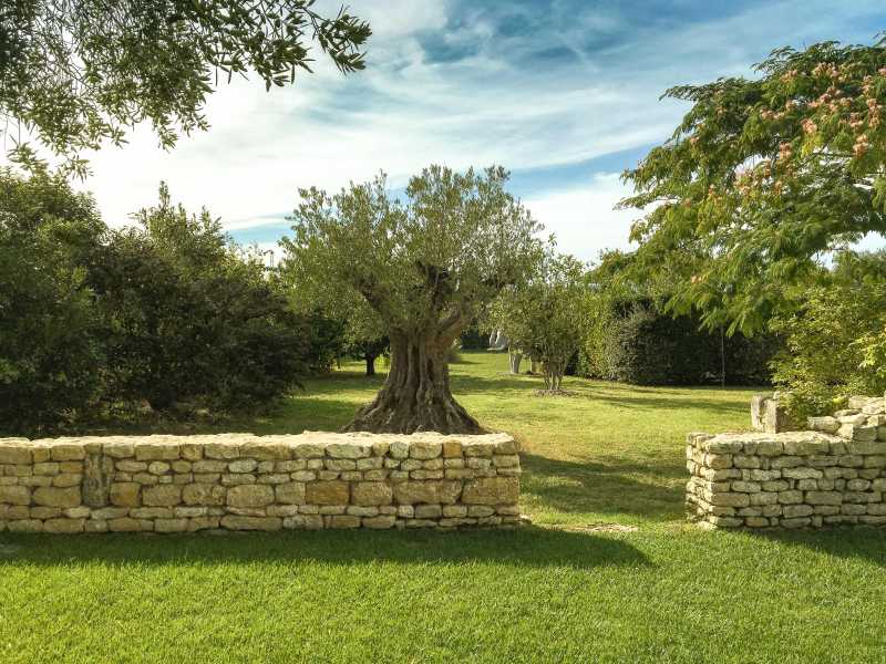 Photo 25 : JARDIN d'une maison située à Loix, île de Ré.