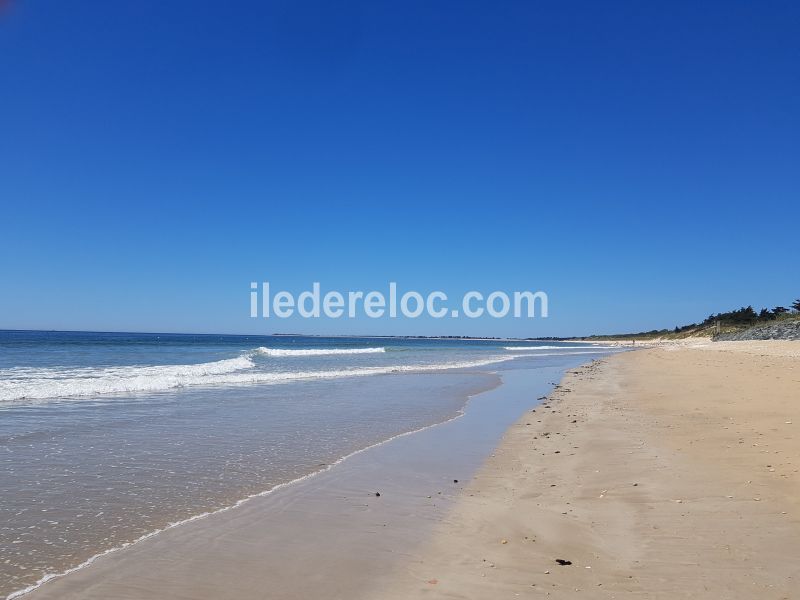 Photo 20 : EXTERIEUR d'une maison située à La Couarde-sur-mer, île de Ré.