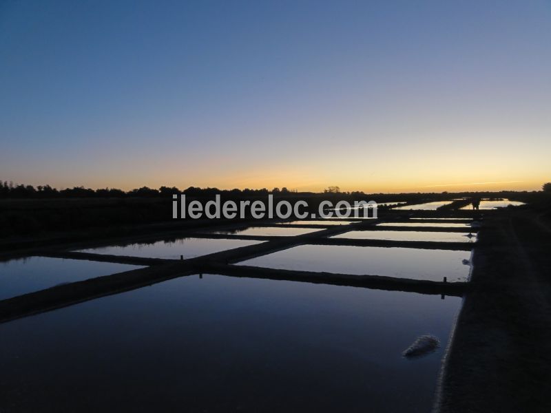 Photo 21 : NC d'une maison située à Loix, île de Ré.