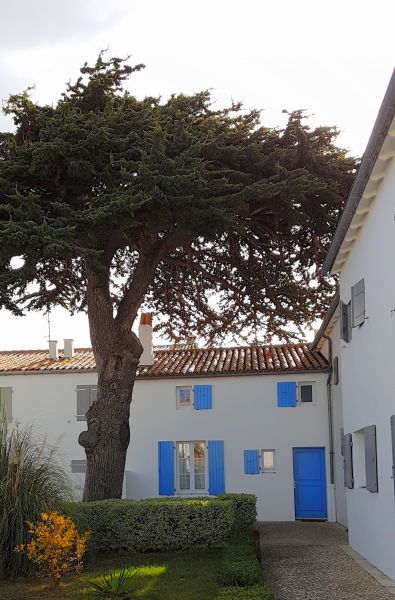 Photo 11 : EXTERIEUR d'une maison située à Saint-Martin-de-Ré, île de Ré.