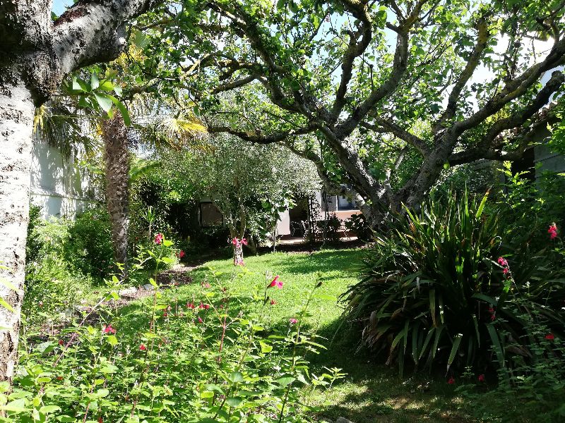 Photo 9 : JARDIN d'une maison située à Sainte-Marie-de-Ré, île de Ré.