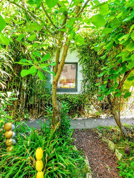 Photo 6 : JARDIN d'une maison située à Sainte-Marie-de-Ré, île de Ré.