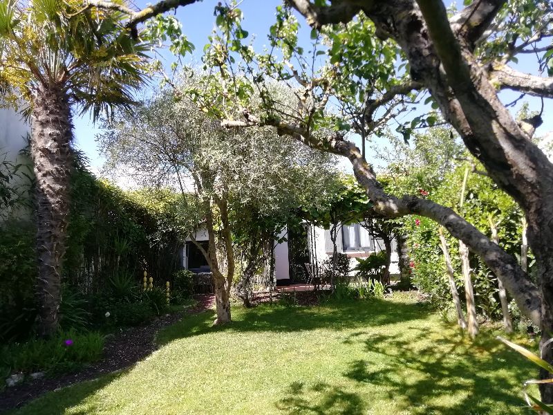 Photo 4 : JARDIN d'une maison située à Sainte-Marie-de-Ré, île de Ré.