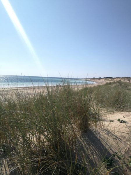 Photo 19 : AUTRE d'une maison située à Sainte-Marie-de-Ré, île de Ré.