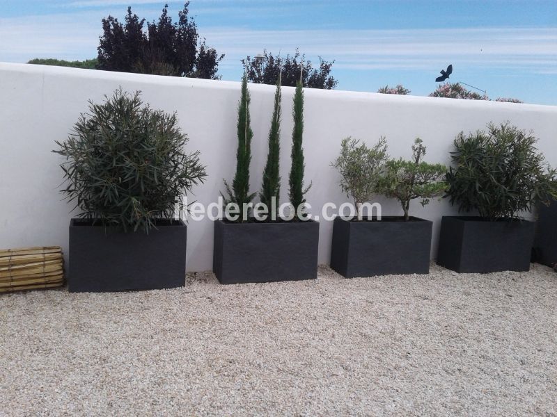 Photo 24 : JARDIN d'une maison située à Loix, île de Ré.