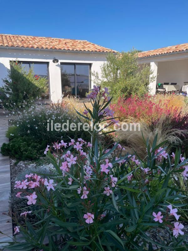 Photo 33 : NC d'une maison située à Loix, île de Ré.