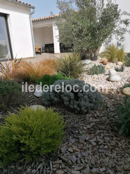 Photo 28 : JARDIN d'une maison située à Loix, île de Ré.